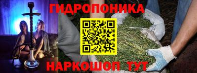 a pvp Будённовск